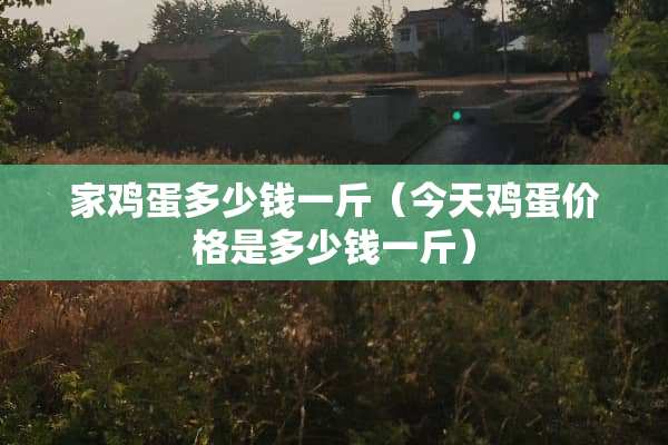 家鸡蛋多少钱一斤（今天鸡蛋价格是多少钱一斤）
