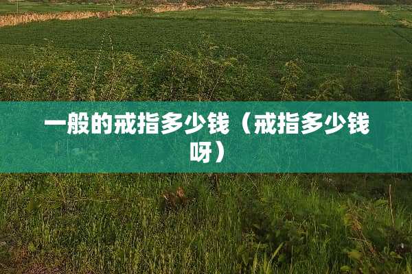 一般的戒指多少钱（戒指多少钱呀）