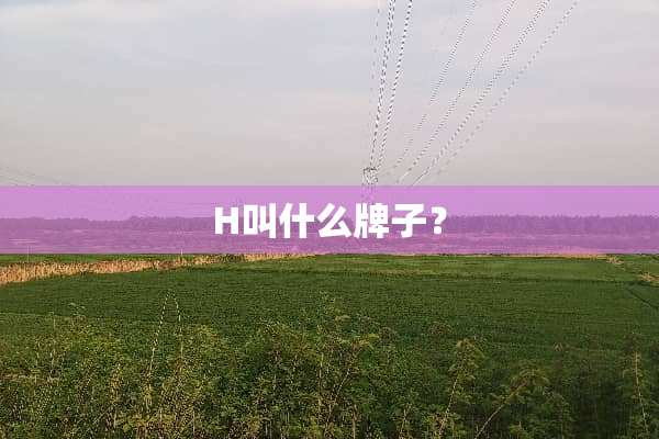 H叫什么牌子？