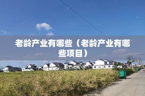 老龄产业有哪些（老龄产业有哪些项目）