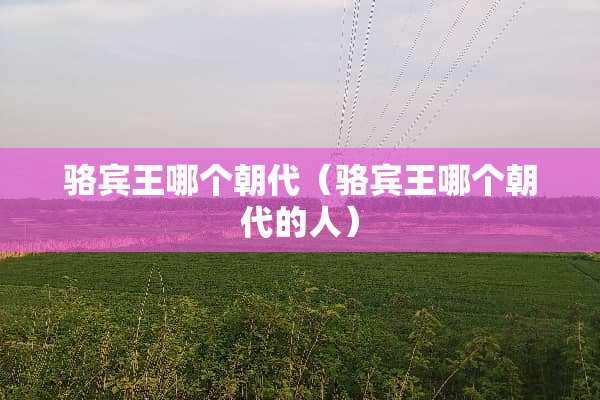 骆宾王哪个朝代（骆宾王哪个朝代的人）