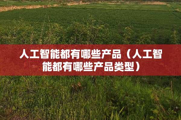 人工智能都有哪些产品（人工智能都有哪些产品类型）