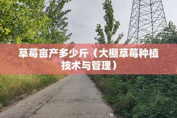 草莓亩产多少斤（大棚草莓种植技术与管理）