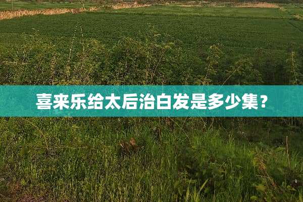 喜来乐给太后治白发是多少集？