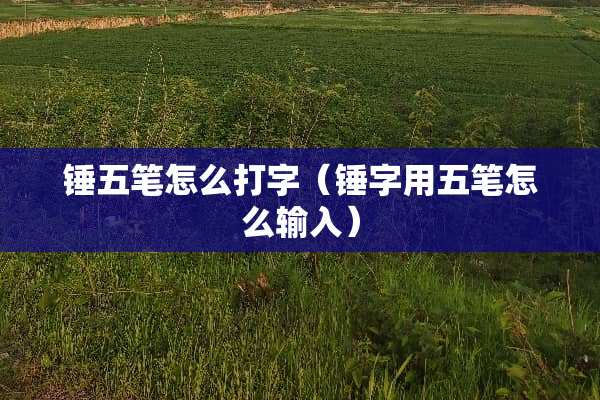 锤五笔怎么打字（锤字用五笔怎么输入）