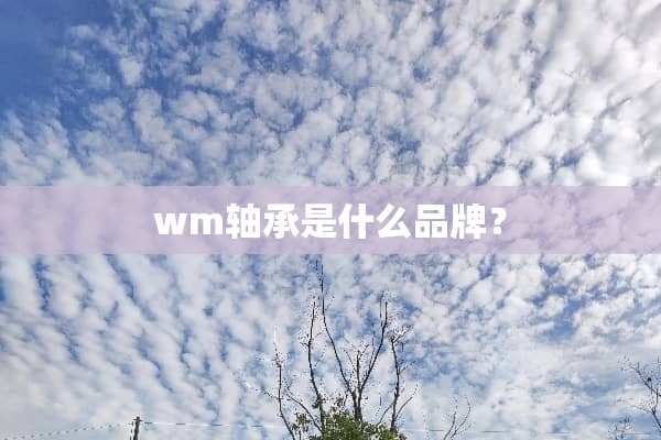 wm轴承是什么品牌？