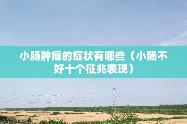 小肠肿瘤的症状有哪些（小肠不好十个征兆表现）