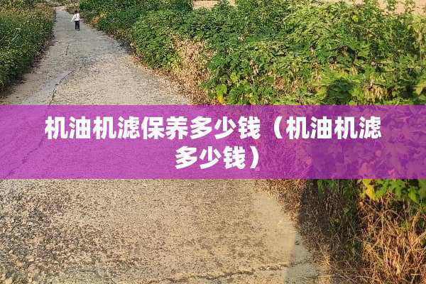 机油机滤保养多少钱（机油机滤 多少钱）