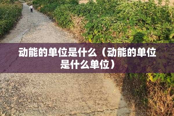 动能的单位是什么（动能的单位是什么单位）