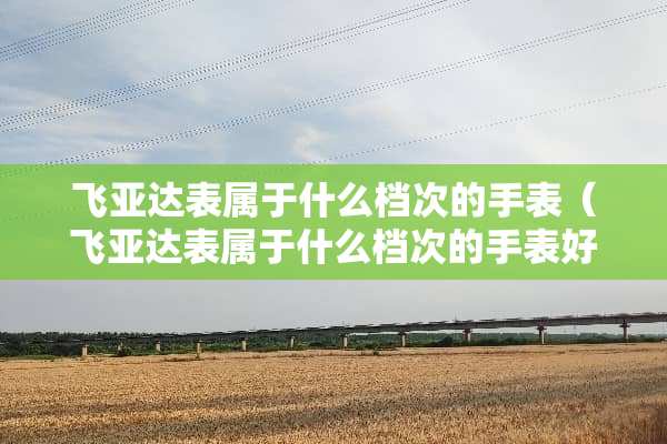 飞亚达表属于什么档次的手表（飞亚达表属于什么档次的手表好吗）