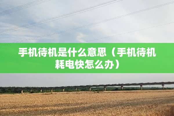 手机待机是什么意思（手机待机耗电快怎么办）
