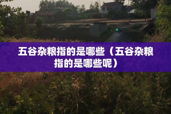 五谷杂粮指的是哪些（五谷杂粮指的是哪些呢）