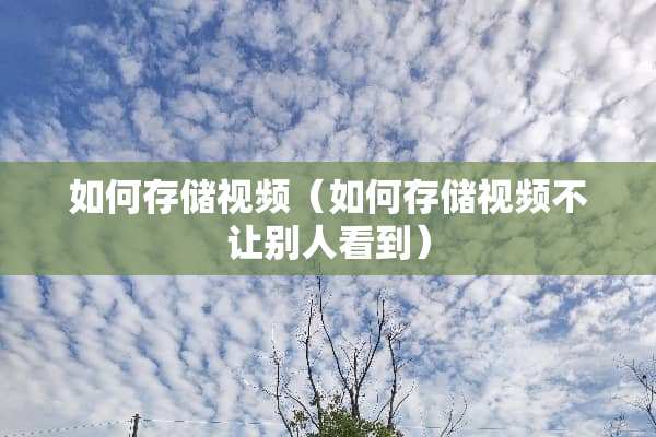 如何存储视频（如何存储视频不让别人看到）