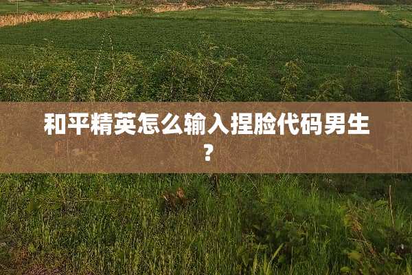 和平精英怎么输入捏脸代码男生？