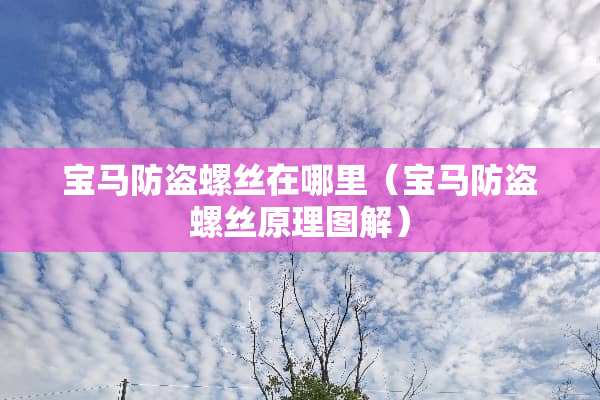 宝马防盗螺丝在哪里（宝马防盗螺丝原理图解）