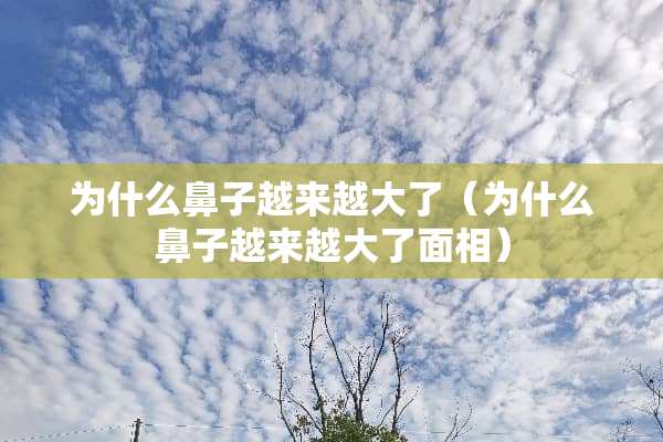 为什么鼻子越来越大了（为什么鼻子越来越大了面相）