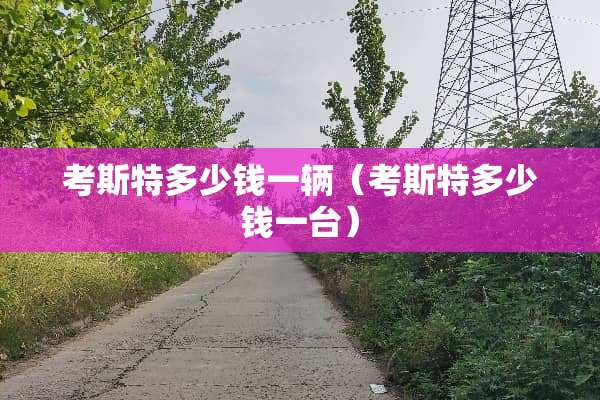 考斯特多少钱一辆（考斯特多少钱一台）
