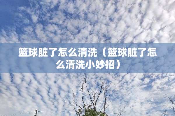 篮球脏了怎么清洗（篮球脏了怎么清洗小妙招）