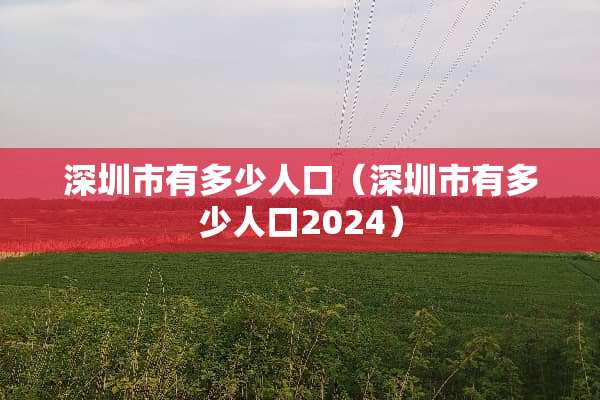 深圳市有多少人口（深圳市有多少人口2024）