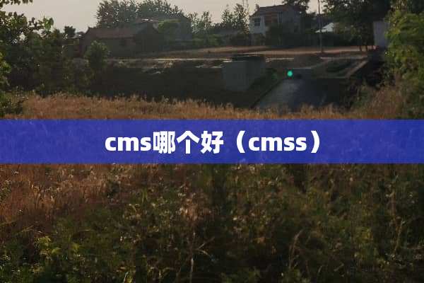 cms哪个好（cmss）