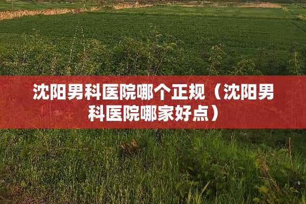 沈阳男科医院哪个正规（沈阳男科医院哪家好点）