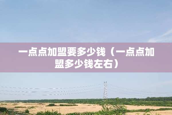 一点点加盟要多少钱（一点点加盟多少钱左右）