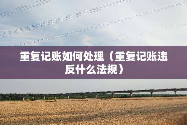 重复记账如何处理（重复记账违反什么法规）