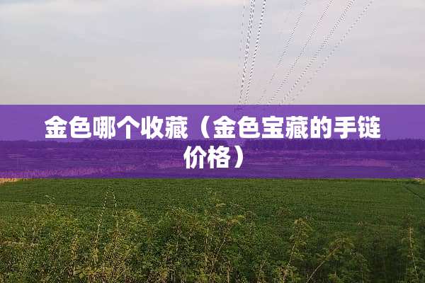 金色哪个收藏（金色宝藏的手链价格）