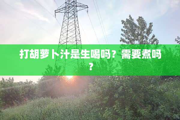打胡萝卜汁是生喝吗？需要煮吗？