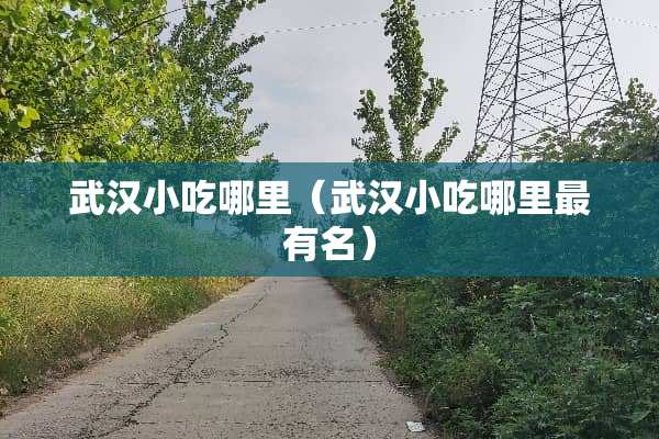 武汉小吃哪里（武汉小吃哪里最有名）
