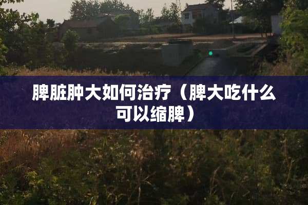 脾脏肿大如何治疗（脾大吃什么可以缩脾）