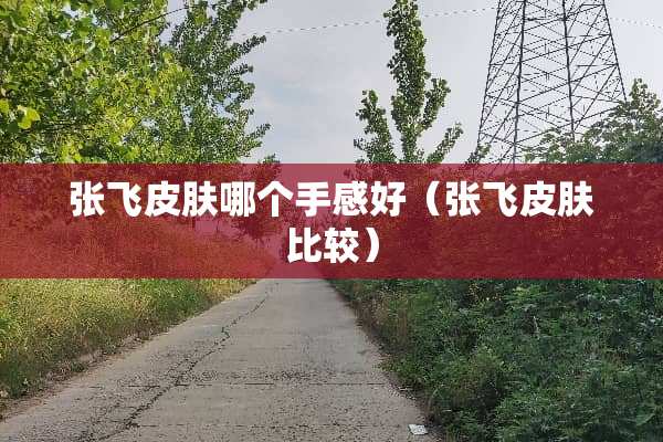 张飞皮肤哪个手感好（张飞皮肤比较）