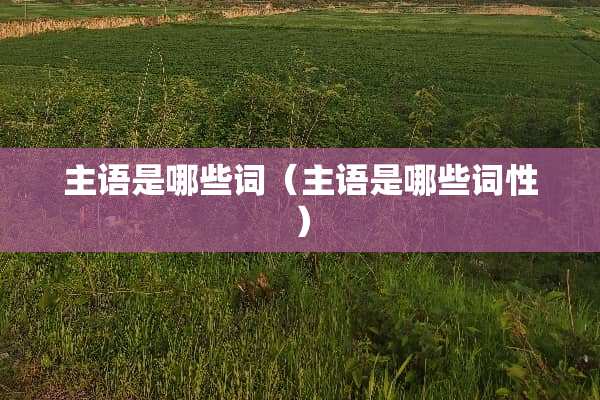 主语是哪些词（主语是哪些词性）