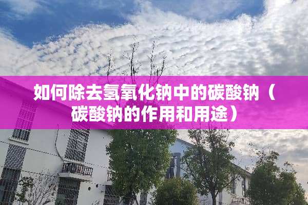 如何除去氢**钠中的碳酸钠（碳酸钠的作用和用途）
