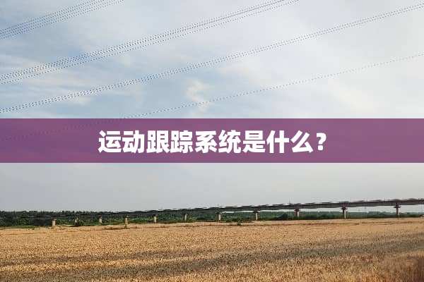 运动**系统是什么？