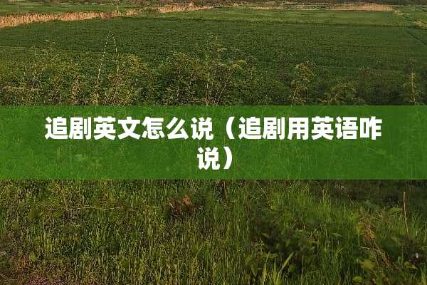 追剧英文怎么说（追剧用英语咋说）