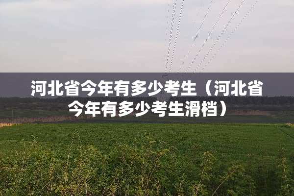 河北省今年有多少考生（河北省今年有多少考生滑档）