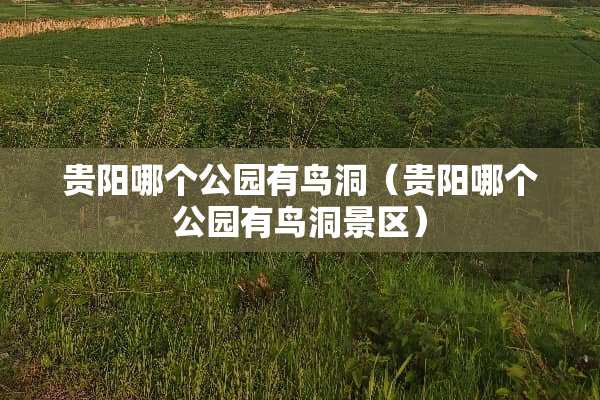 贵阳哪个公园有鸟洞（贵阳哪个公园有鸟洞景区）