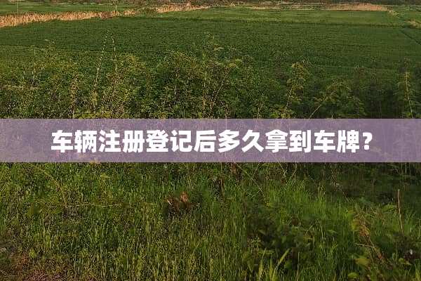 车辆注册登记后多久拿到车牌？
