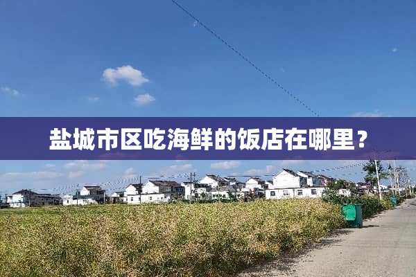 盐城市区吃海鲜的饭店在哪里？
