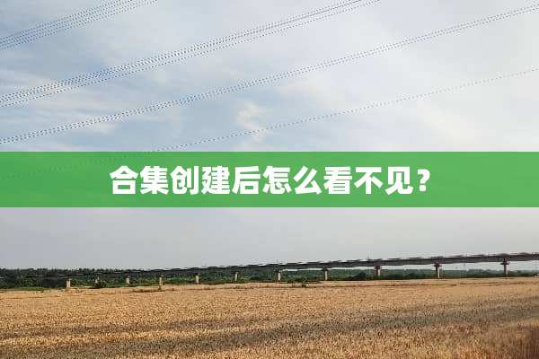 合集创建后怎么看不见？