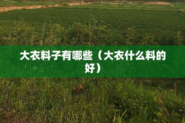 大衣料子有哪些（大衣什么料的好）