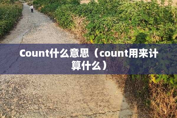 Count什么意思（count用来计算什么）
