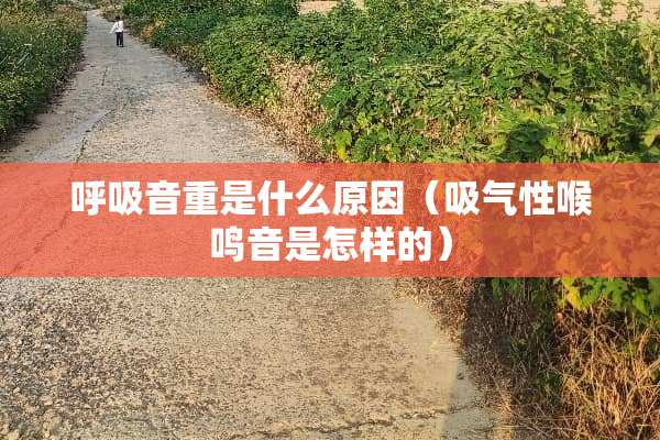 呼吸音重是什么原因（吸气性喉鸣音是怎样的）
