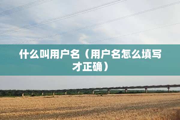 什么叫用户名（用户名怎么填写才正确）