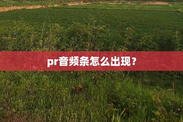 pr音频条怎么出现？