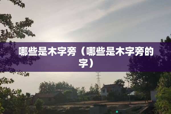 哪些是木字旁（哪些是木字旁的字）