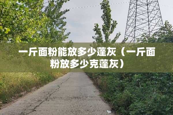 一斤面粉能放多少蓬灰（一斤面粉放多少克蓬灰）