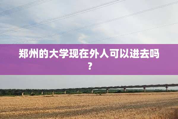 郑州的大学现在外人可以进去吗？