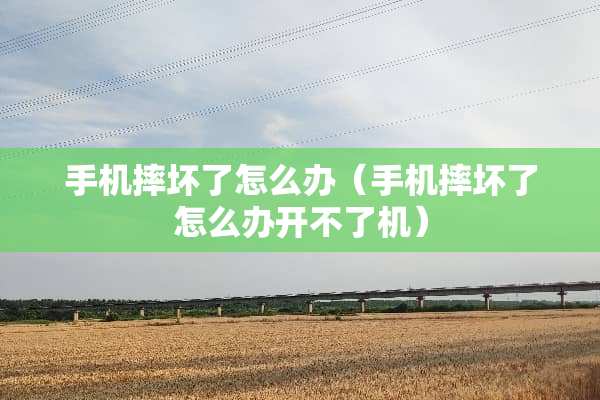 手机摔坏了怎么办（手机摔坏了怎么办开不了机）